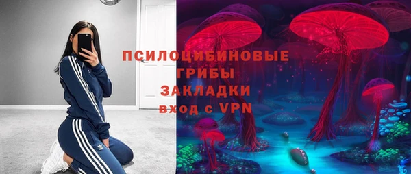 стаф Алексин
