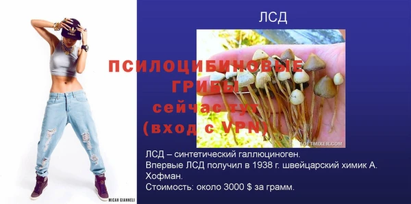 амф Навашино